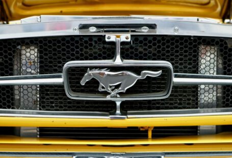 Mustang Auto - Ford Mustang vehicle grille