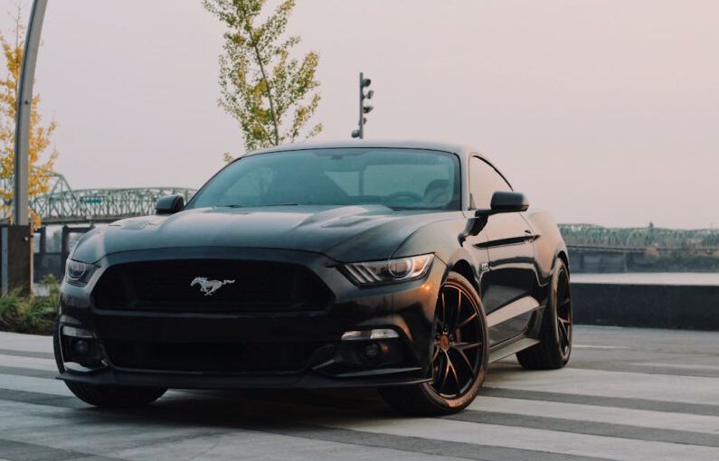 Ford Mustang - black Ford Mustang coupe parked near green tree