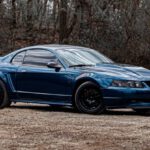 Mustang Auto - Blue Shiny Car Near Trees